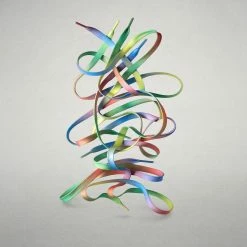 Wildling Shoes Regenbogensenkel