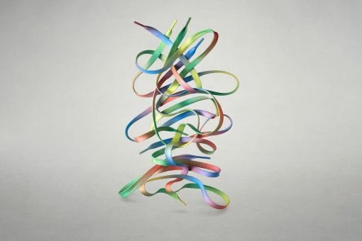 Wildling Shoes Regenbogensenkel